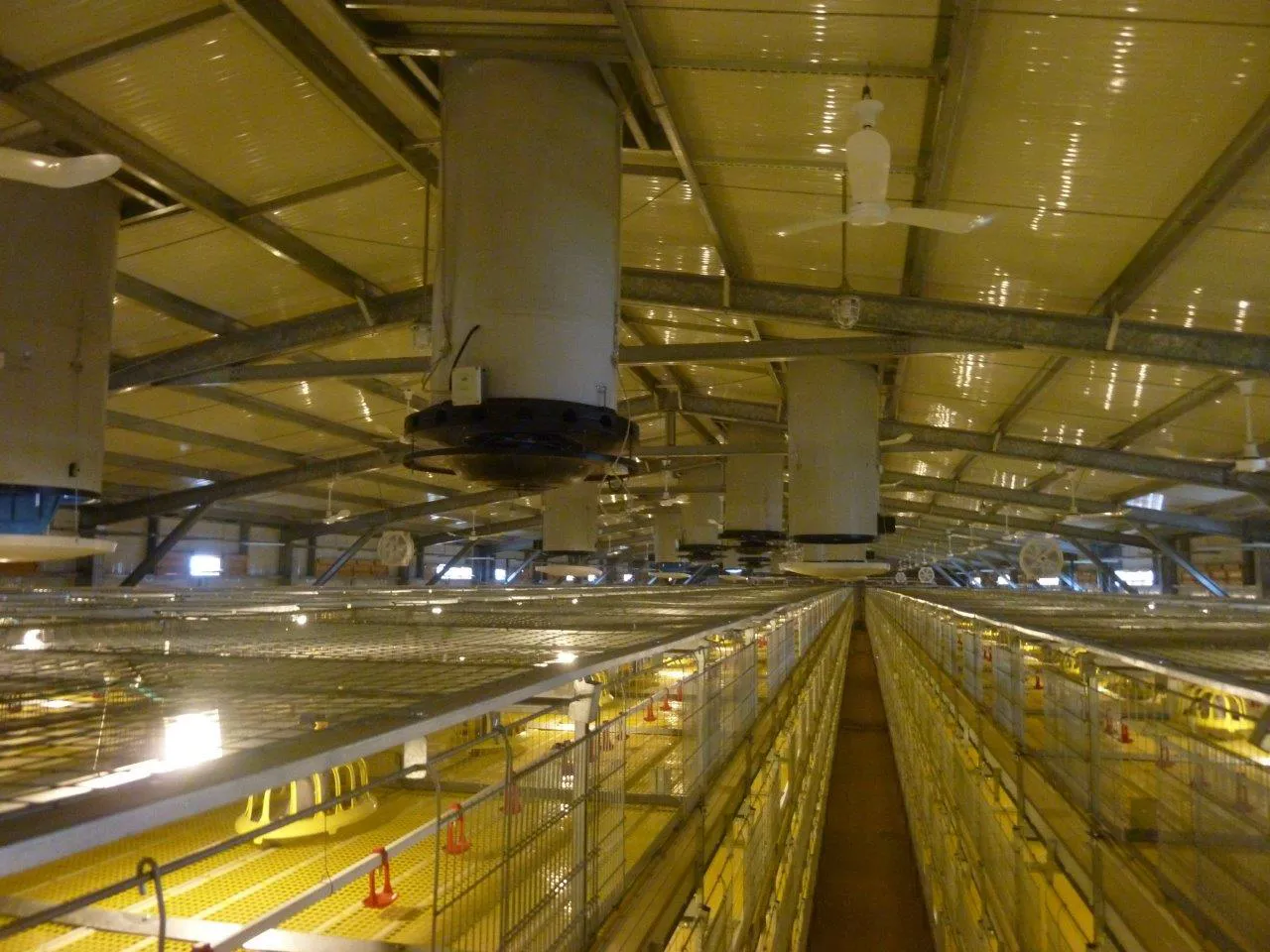 Ceiling Circulation Fans