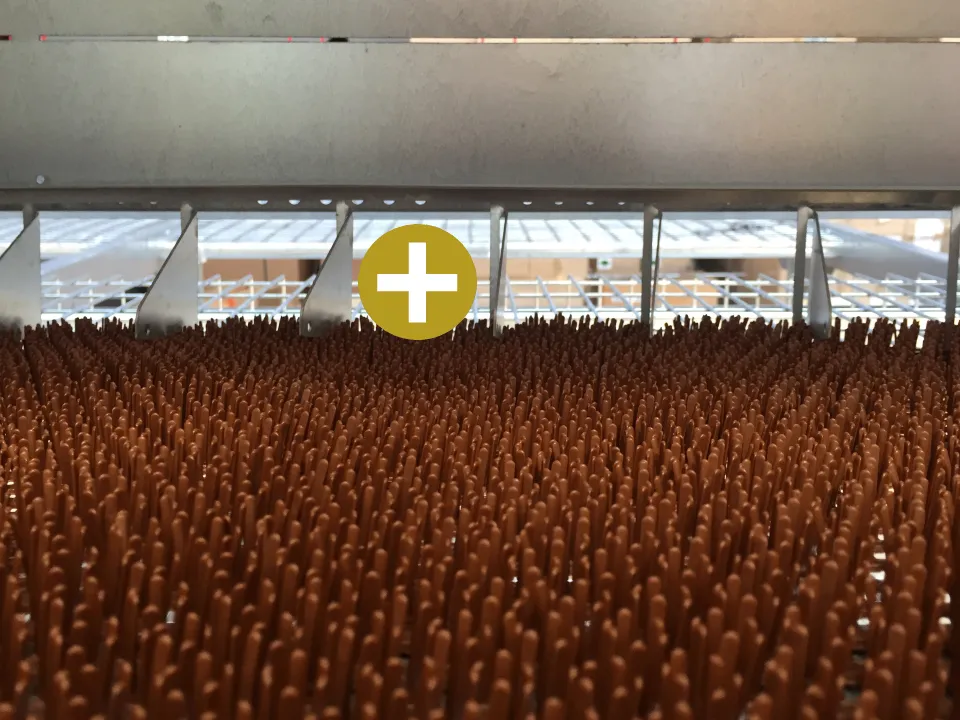 Nest Mat Texture