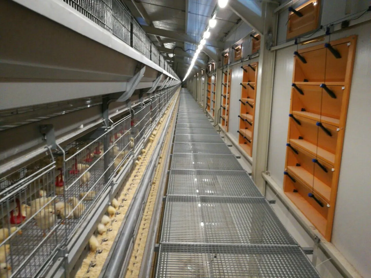 Climate-Controlled Interior